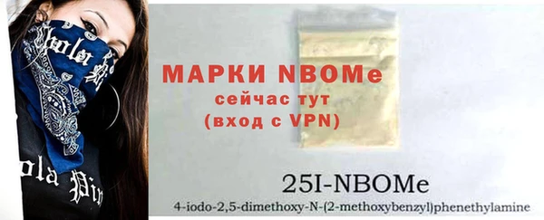 молекула духа Новодвинск