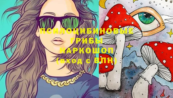 молекула духа Новодвинск